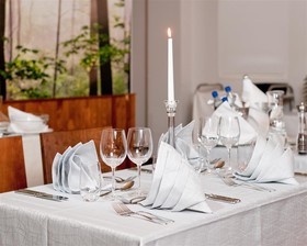 Hotel Savonia