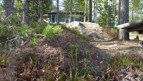Salkolahti Tikkamaki