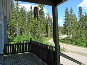 Sinivuokko