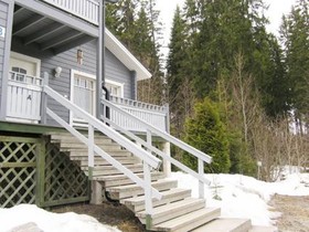 Sinivuokko