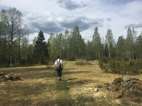 Vuokatti Booking Suites