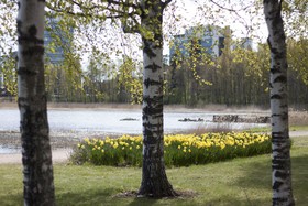 Radisson Blu Hotel, Espoo
