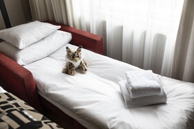 Home Hotel Jugend
