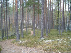 Manamansalo Camping