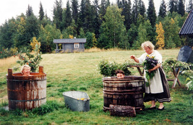 Hotel Taivaanvalkeat