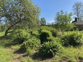 Olo Centre by Kolovesi Nature Park