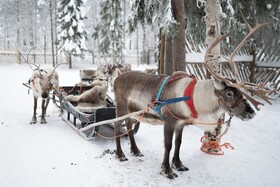 Arctic Lumo Resort