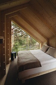 Hilltop Forest