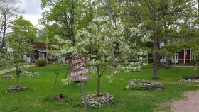 Villa vanha passi