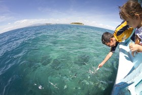 Beachcomber Island Resort