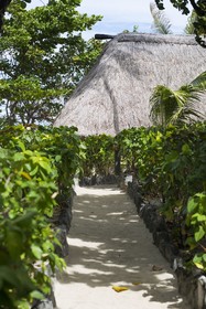 Beachcomber Island Resort