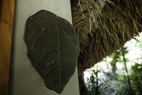 Castaway Island, Fiji