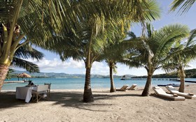 Dolphin Island