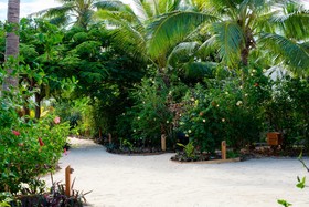 Musket Cove Island Resort & Marina