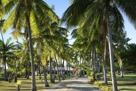 Musket Cove Island Resort & Marina