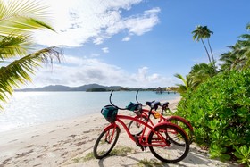 Musket Cove Island Resort & Marina