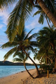 Plantation Island Resort