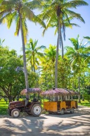 Plantation Island Resort