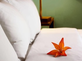 Maqai Beach Eco Surf Resort
