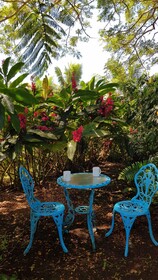 Sacred Garden Fiji