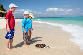 Nakelo Treasure Island Resort & Spa