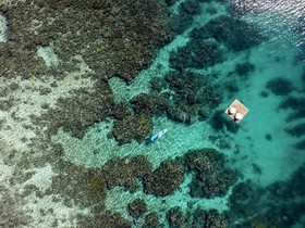 The Remote Resort