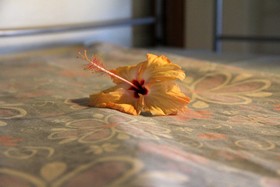 Travellers Beach Resort