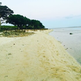 Yadua Bay Resort & Villas