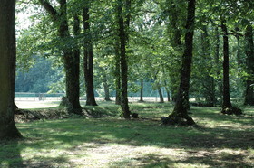 Best Western Le Bois De La Marche