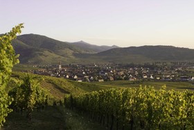 Domaine Pierre Adam