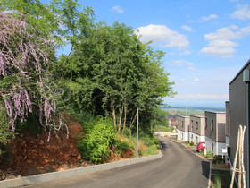 Terrasses D'alsace