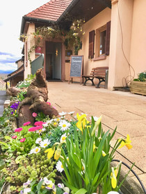 James Vignoble Hotel Eguisheim