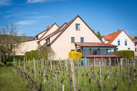 James Vignoble Hotel Eguisheim