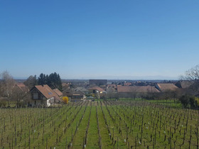 James Vignoble Hotel Eguisheim