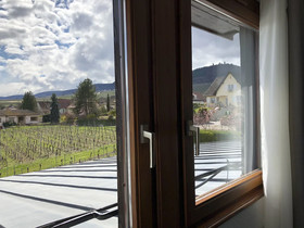 James Vignoble Hotel Eguisheim