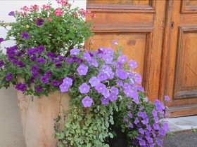 La Maison Des Fontaines