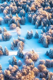 Les Chambres D'Hélène