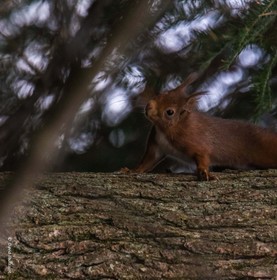 Les Chambres D'Hélène