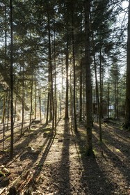 Center Parcs Les Trois Forets