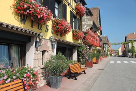 Hotel Arnold