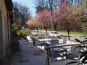 The Originals City, Hotel Aster, Saint-Avold Nord