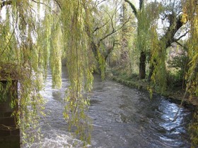 Le Moulin de la Wantzenau