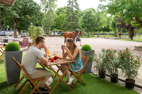 Ecurie De La Fourasse