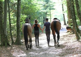 Ecurie De La Fourasse