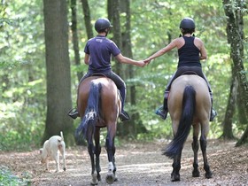 Ecurie De La Fourasse