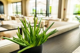 Best Western Plus Hotel Metz Technopole