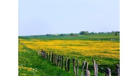 Chez Mariebel
