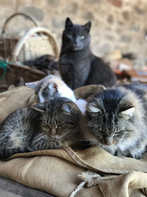 La Grange D’Hannah