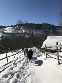 La Grange D’Hannah