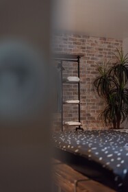 Private & Comfortable Apartments